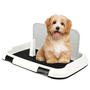 ELgC |[^uPpbh OgC ǃJo[t | 35×45×5cm B11