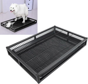 bV\ SgC EqpgC pbhz_[t EOΉ B11