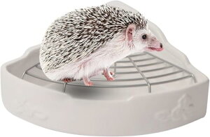 gCg[i[t R[i[^ tFbgEETMEnX^[ ^ybggC H11