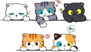 ԗpfJ[ EBhEXebJ[ 킢LfUC ԁEoCN̑ƕǂɓKp ԑɍœK h@\t TCY 5.3*7.7cm Ԃ̃XebJ[Ƃ 낳Ɖ˔B