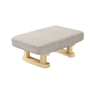 yʃNbVt֎q 琳⏕ @p aCX a֎q P11