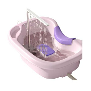   Q܂ܐ r`[ut Vv[  @ Q Ō  ʑ ʊ Vv[ q  @