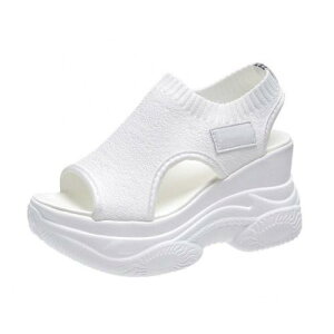 X|[cT_ T_ jbgT_  V[Y EFbW\[ T_ Xj[J[ C JWA  ʋC yʃEH[LO ₷ IV