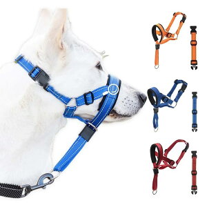 ybgp[h oCgo[Xgp` ybg}EXJo[ iCybgi ybgpփZbg