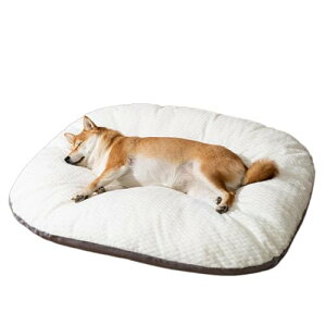 _炩  xbh 􂦂 O\ Lp ybgxbh ӂӂ ~ NbV}bg ^ɓKp  (S/56x46cm)