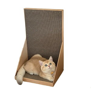 L^@\Lp܂Ƃ{[hA܌Ƌxe2in1i{[̑