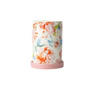 u ƒp Z~bN r Lb`iCtEtH[N[{bNX (̉Ԃ̔u)