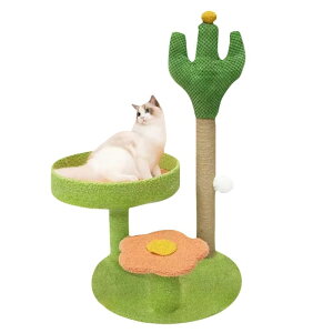 T{eLpNC~Ot[ȂAݑ䂪̉ (΂̃T{e)