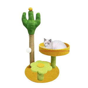 T{eLpNC~Ot[ȂAݑ䂪̉ (΂̃T{e)