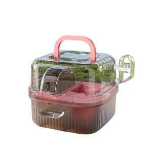 nX^[P[WBdwԃS[fxA``|[^u|[^uP[W (VO{bNX,ubN)