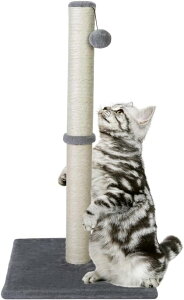 [] L^TCUL܂Ƃ|XgL܂Ƃ{[hǃXebJ[lϖՐƒEȂދa炰L̂