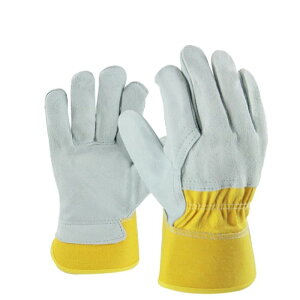 [] K[fO[uƂ̎ی삷邽߂̂Ƃh~h~̉|pO