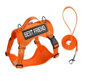 ₷yʌpn[lXAhp[VxXg (bh,M)