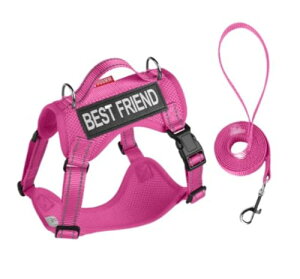 ₷yʌpn[lXAhp[VxXg (bh,M)