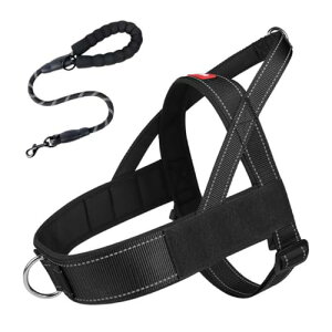 ₷yʌpn[lXAhp[VxXg (ubN,M)