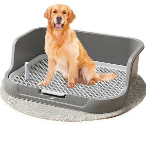  gCg[A^ptbgnCtFXhHpA|bgix[Xpbh50×40×10.5cmj (CG[)