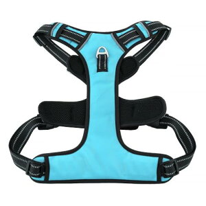 p h~ TCY\ A^}ʂ Ԕˍ Ȃ ʋC U p \tg Ȃ S p P s⏕ U (_[Nu[,S)