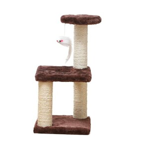 LpNC~Ot[ 3w TCU Lp܂Ƃ|Xg ^E^Lp܂Ƃ ދȂ ł킢 (O[)