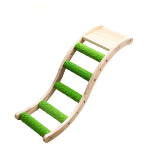 �Z�L�Z�C�C���R ��������A���C�ނ̂͂����A�������u�����R�p�A�N�Z�T���[ (���b�h)