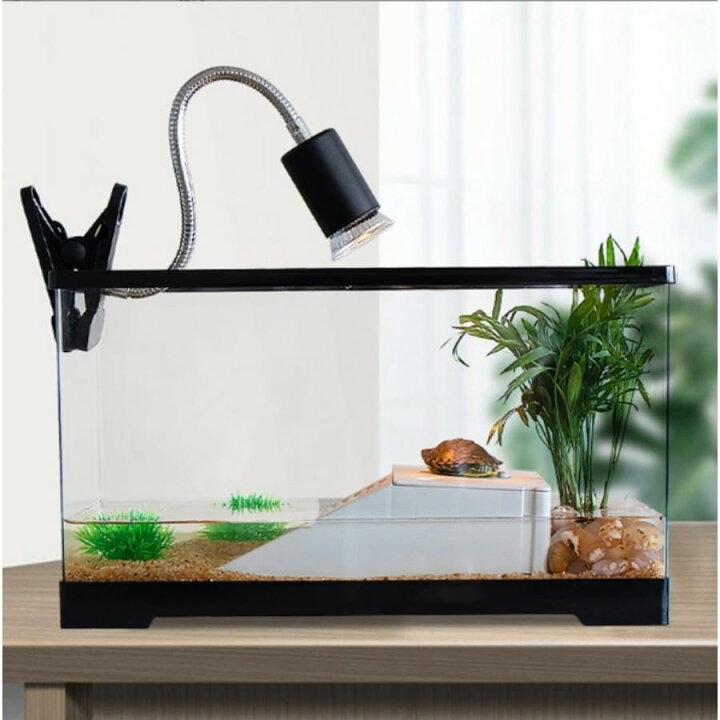 楽天市場】アクリル水槽 亀 水槽 龟缸 大きい タートルタンク カメ用 
