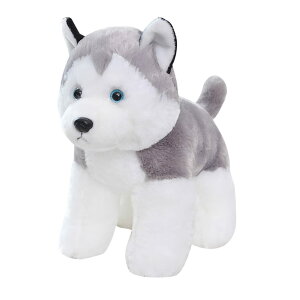 ʂ ܂    ӂӂ _炩   D ܂ @\ ʔ n Q v[g j a Mtg  􂦂 YQ 30c