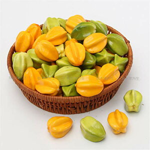 HiTv X^[t[c 100Zbg { Hi͌^ tFCNt[c fBXvC ܂܂ wZ s Ȃǂ œK IuWF u I[ig 