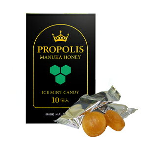 yǐՉ\[֑Ώہzv|XLfB[@10