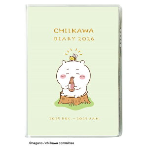 2026N蒠 A6 R~bN}X[_CA[/J