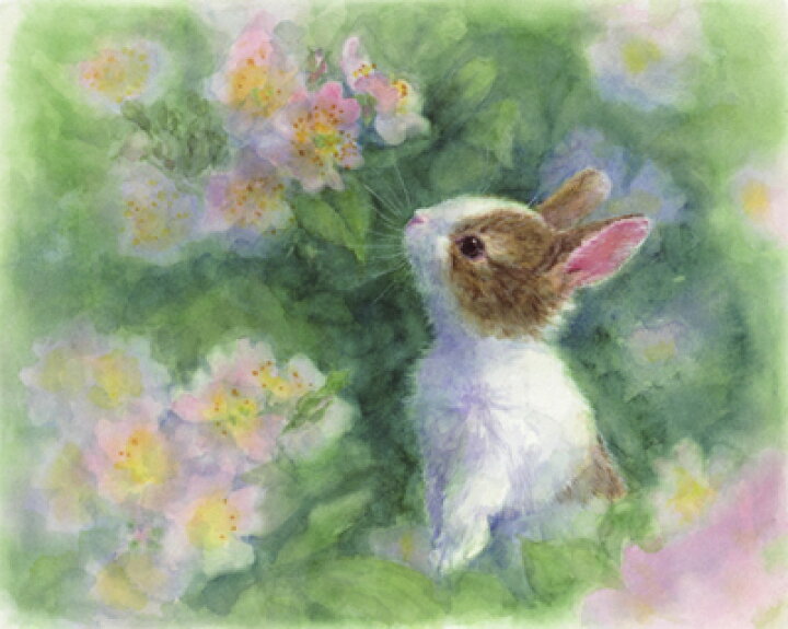 楽天市場 土田穣 絵画 アート 版画 ピンクの花 ウサギ うさぎ A P J オンライン楽天市場店