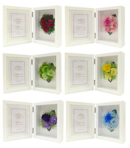 Ey^tHgt[it[/ԊzjLrlTCYW yj/oYj/a/ސE/wj/̓E̓/v[gEMtgE蕨Ɂz