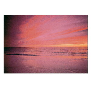 �|�X�g�J�[�h/���i �|�X�g�J�[�h �T���Z�b�g&���[��