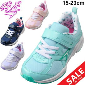 楽天市場 瞬足 3e 女の子の通販