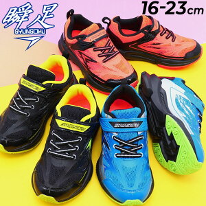  LbYV[Y V\N j̎q Xj[J[ 3ECh݌v u EgCh WjA 16-23cm qC WjAXj[J[ LbYXj[J[ ^C y w ʊw ̈ wZ 
