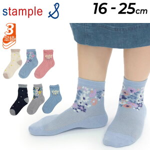 X^v LbY C 3Zbg 16-25cm ̎q qp stample t[[X V[g\bNX 3P/K[[ ԕ qǂ K[Y   3g 킢 fB[X t Mtg v