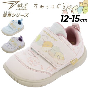  xr[V[Y u ݂R炵R{ V\N V[Y ̎q 12-15cm | 4E qC xr[C LbY Xj[J[ qǂ ^C 킢 uh  q 