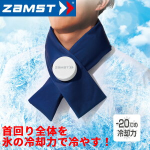 �������� �U���X�g ZAMST �A�C�X�o�b�O��p �t���[�T�C�Y �X�̂� �X�X �⊴ ��p �Ђ���O�b�Y �����΍� �M���Ǒ΍� �u�����h �P�A�p�i/387000