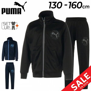  v[} LbY W[W ㉺ 130-160cm q j̎q PUMA ACTIVE SPORTS WPbg Opc ZbgAbv/WjA g[jO X|[cEFA ㉺g ^ j qǂ ǂ 