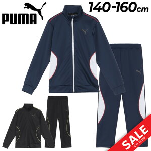  v[} W[W LbY WjA ㉺ PUMA ACTIVE SPORTS g[jOWPbg Opc ZbgAbv 140cm 150cm 160cm q X|[cEGA W[W[ qǂp ㉺g gb