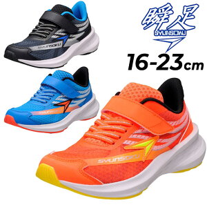 u LbYV[Y Xj[J[ 2.5E j̎q V\N ECOXC_[ JJ-171 qC 16-23cm qǂ WjAV[Y {[CY y ^C ʊw ^ ̈ j w  u