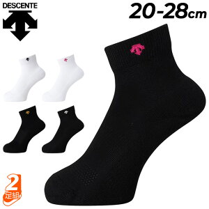 fTg o[{[\bNX 20-28cm C DESCENTE 2g X[p[V[g\bNX Y fB[X WjA l q o[{[EFA ANZT[ jq q jp RۖhL 