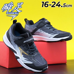  u Xj[J[ LbY WjA j̎q 2.5E 16-24.5cm LbYV[Y V\N AeB}`[^[ JJ-208 qC qǂ WjAV[Y {[CY y ^C ʊw ^ 