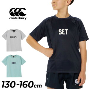 J^x[ LbY WjA  TVc 130-160cm q Canterbury tF[R[ g[jOeB[bOr[ X|[cEGA z hC UVK[h qǂ K ^ ǂ j