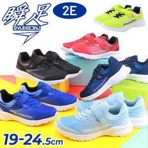  u Xj[J[ WjA LbYV[Y 19-24.5cm 2E SYUNSOKU y V[Y qǂ j̎q ̎q SR ʃt@Xi[ ^C ʊw w wZ ̈ ^ j  ǂ u