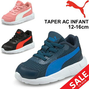 Xj[J[ xr[ LbY V[Y 12-16cm q qǂ ǂC LbYXj[J[/v[} PUMA eCp[ AC Ct@g/Ԃ j̎q ̎q X|[c JWA ^C c xr[C 