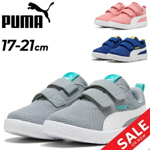 v[} LbY Xj[J[ WjAV[Y PUMA R[gtbNX V3 bV 17-21cm qC y ʋC ʃt@Xi[ xg^Cv X|[eB JWAV[Y qǂ WjAXj[