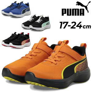�������� �v�[�} �X�j�[�J�[ �L�b�Y �W���j�A PUMA �X�s�[�h �����X�^�[ V5 PL GR / 17-24cm �q���C �S���R �ʃt�@�X�i�[ �x���g�^�C�v �L�b�Y�p�X�j�[�J�[ �^���C �q�ǂ� ���ǂ� �j�̎q ���̎q ��