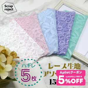 y 11/30聚5%OFF N[| zzzNAWA { ScrapSET ͂5Zbg([XE`[) n 15×15cm I^[hߑɎgpoG[VLȐF╿̐n JbgNX |