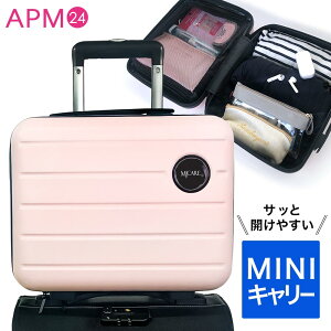16C` y MINI L[P[X z sN Œxgt O 340×240×160mm d 775g / ABSf ϋv X[cP[X ~jgN NX}X s A  