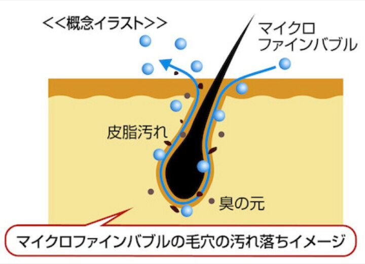楽天市場 富士計器 エニティ バブルマイスター シャワーヘッド用 ウルトラファインバブル 発生 アダプター 工具不要 取り付け簡単 シャワー 泡 品番 7753 C Anyti シャワー用 Apマーケット