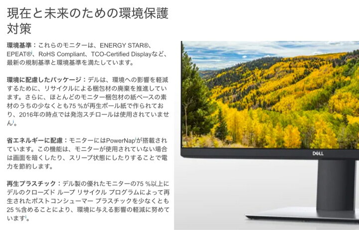 楽天市場】Dell P2421D 23.8インチワイドモニター QHD IPS 非光沢 LED 